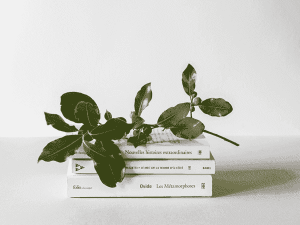 AI智能助手的云呼