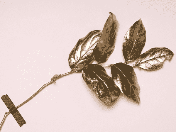 在线轰炸机免费版